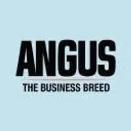 American Angus Association